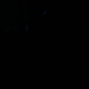 Meet your Posher, Curtis